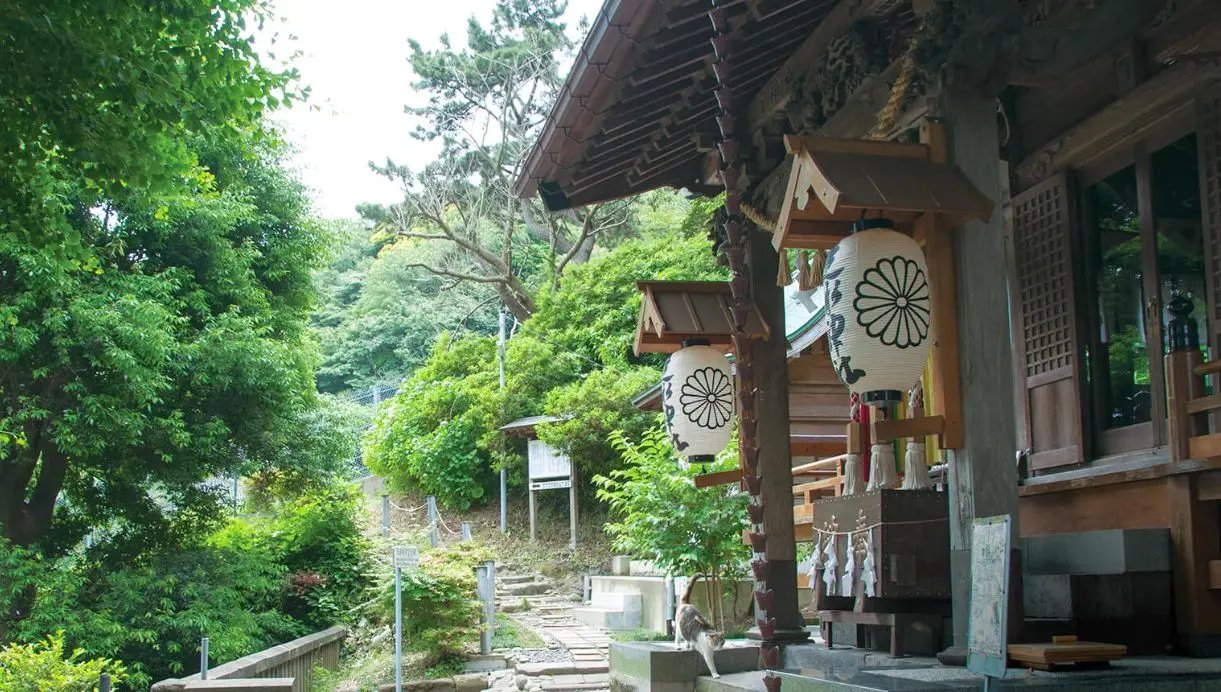 ⛩️ 흐르는 물 신사 (하시리미즈 진자) 이미지 11